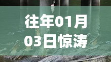 惊涛鳄浪自由行，热门攻略揭秘