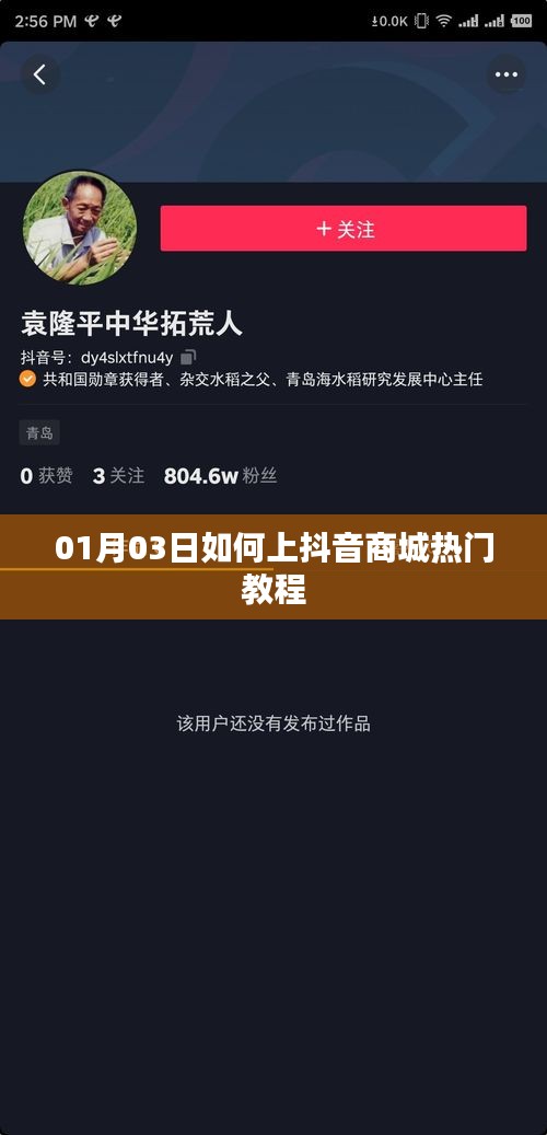 抖音商城热门攻略，如何上热门教程（日期，XX月XX日）