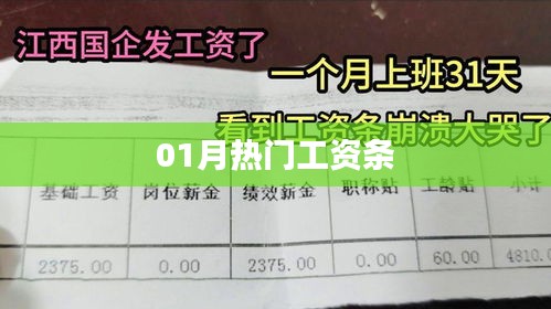 最新热门工资条解析