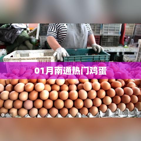 南通热门鸡蛋行情解析