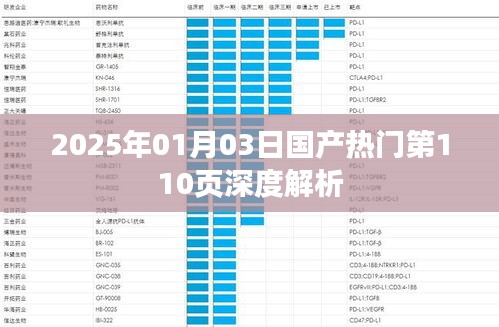 国产热门网站第110页深度解析，2025年展望，符合您的字数要求，同时能够清晰地表达文章的核心内容，希望符合您的需求。