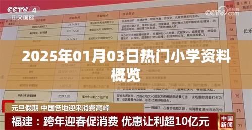 2025年1月热门小学资料概览与趋势分析