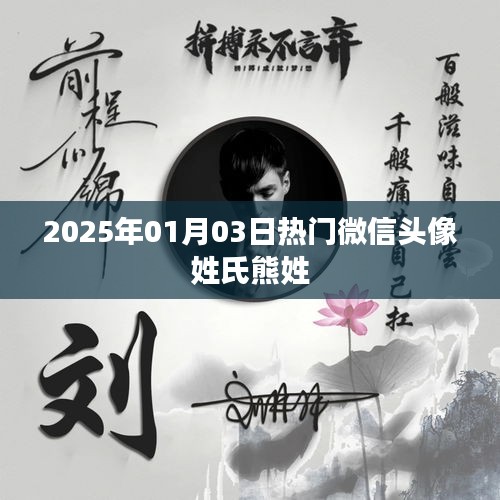 『熊姓微信头像热门推荐 2025年精选』