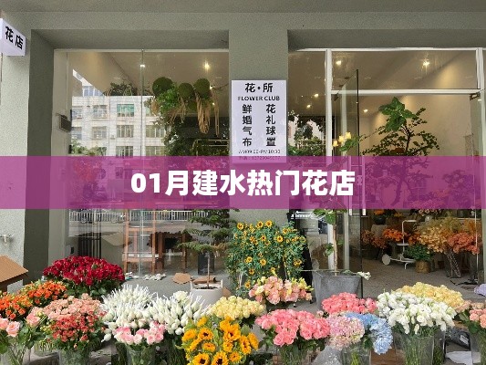 建水一月热门花店推荐