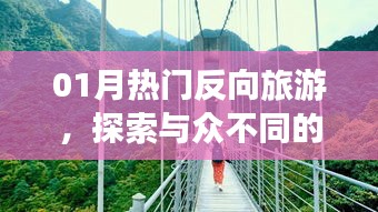 热门反向旅游，探索独特旅行方式