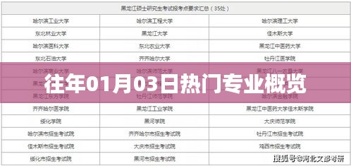 历年热门专业概览，聚焦一月三日盛况。