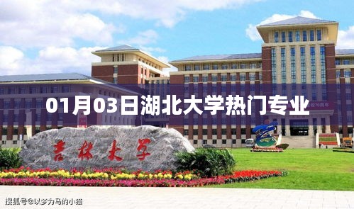 湖北大学热门专业一览，01月03日解读