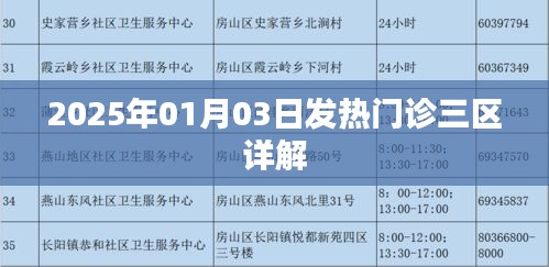 2025年1月3日发热门诊三区工作详解