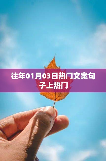 热门文案句子盘点，历年一月初三火爆文案回顾