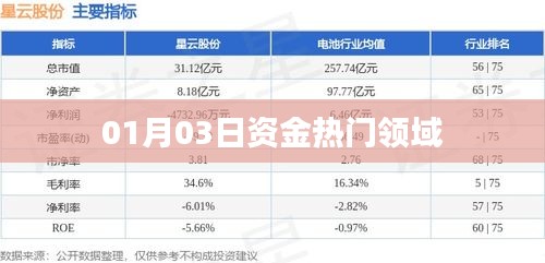 热门资金流向领域动态解析