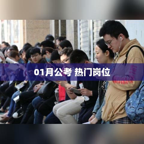 01月公考，热门岗位解析与备考指南