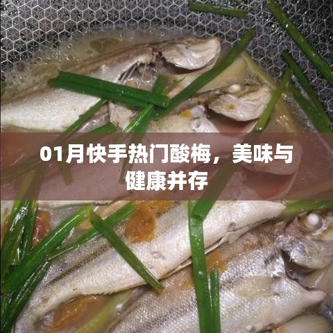 快手热门酸梅，美味与健康双享