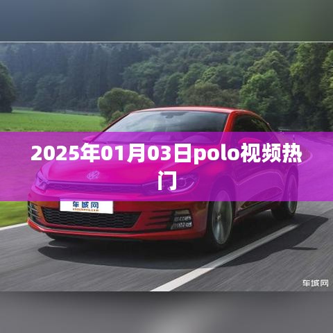 『2025年1月3日Polo视频大热』