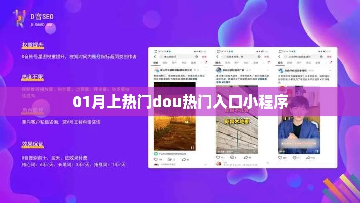 01月热门小程序，Dou热门入口独家解析