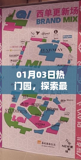 热门园最新潮流热点探索