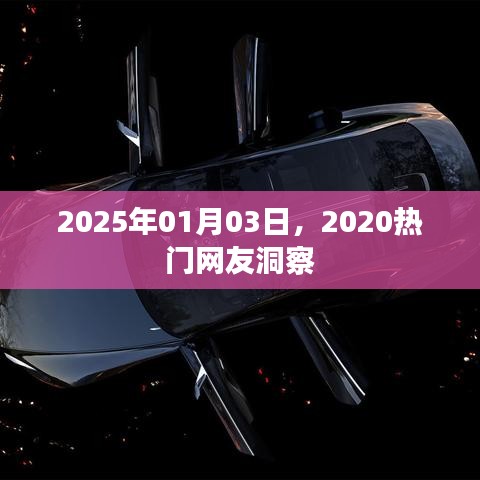 热门网友洞察，未来趋势预测或网友洞察揭秘，展望2025年。