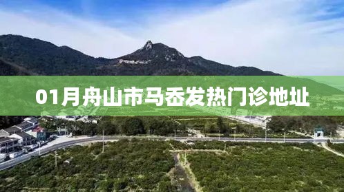 舟山市马岙发热门诊地址查询