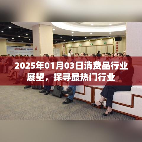 消费品行业趋势展望，探寻热门行业机遇（2025年展望）