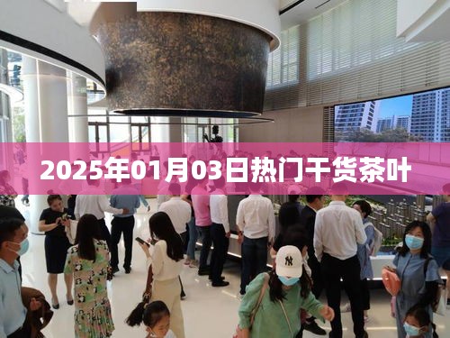 2025年元旦热门茶叶干货分享