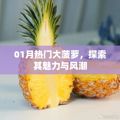 探索大菠萝魅力与风潮，一月热门揭秘